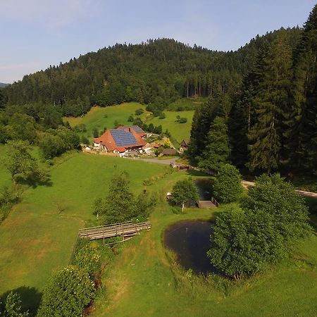 Muellerjoergenhof Appartement Gutach Buitenkant foto
